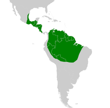 América - Distribuição de araras.PNG