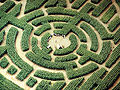 Image 55Labyrinth maze of Barvaux, Durbuy, Belgium (from List of garden types)