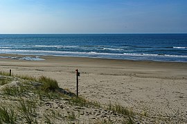 Texel - North Sea Beach at Nature Reserve De Muy 04.jpg