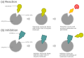 Diagram showing competitive inhibition