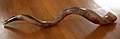 Shofar yemenita, hecho de cuerno de antílope (kudú).