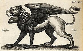 Jonston1660-quadruped-TabXLIX-gryphus.jpg