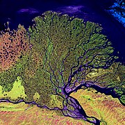 A satellite photo of a large river delta with many branching paths.