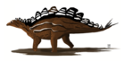 Stegosaurus stenops