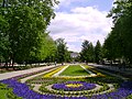 Het kuurpark van Inowrocław / Hohensalza