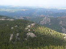 Photographie des Black Hills depuis le pic Black Elk.