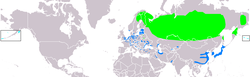 Distribución de M. albellus     Área de reprodución      Área non reprodutora      De paso