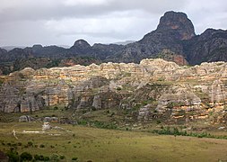 Lush and arid landscape