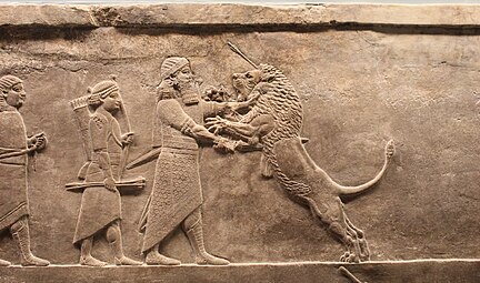 Assurbanipal poignarde un lion bondissant sur lui. Bas-relief du Palais nord, British Museum.