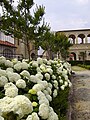 Palazzo Sarriod de La Tour