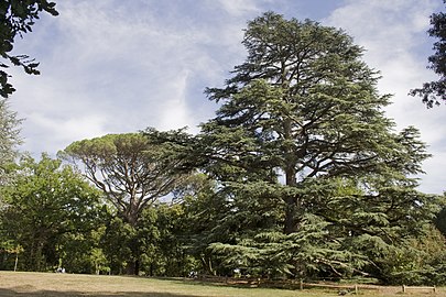 Parc de Malpagat.