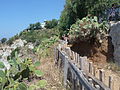 Sentiero panoramico a Capo Vaticano con faro 2009