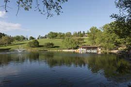 Lake and fountain at the park.