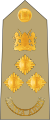 Brigadier (Kenya Army)[19]