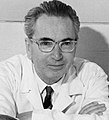 Viktor Frankl overleden op 2 september 1997