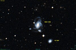 NGC 1356