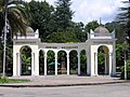 Botanischer Garten von Sochumi