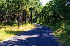 Vlieland - Postweg from Het Posthuys to Oost-Vlieland 13.jpg