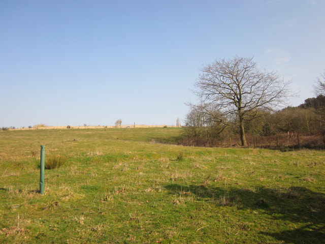 File:Marlbrook Tip Eclipse - geograph.org.uk - 4392540.jpg