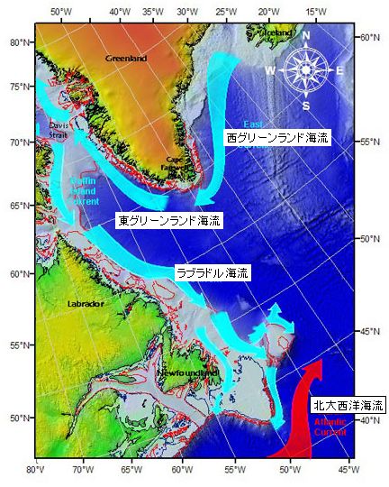 File:LabradorCurrentus-coastguard-ja.jpg