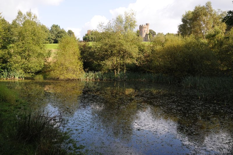 File:Castle Pond - geograph.org.uk - 4185249.jpg