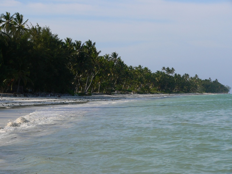 File:High tide, Bwejuu, Zanzibar.jpg