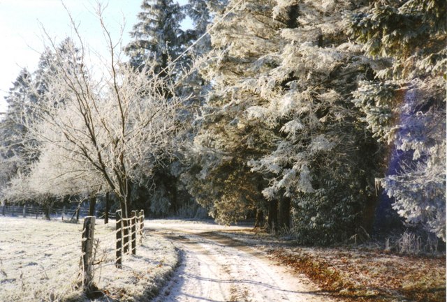 File:'The Avenue' in winter - geograph.org.uk - 1614712.jpg