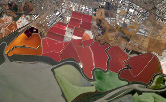 File:San Francisco Bay Salt ponds 2002.jpg