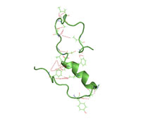 Amyloid beta