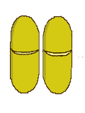 Transversa.