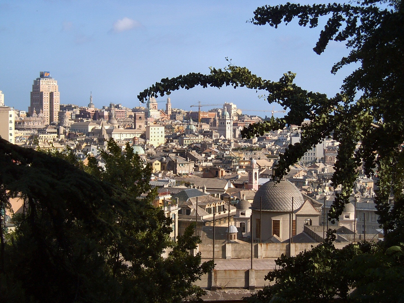 6-Genova