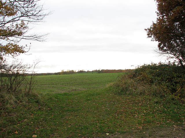 File:Field adjoining the Marriott's Way - geograph.org.uk - 1042839.jpg