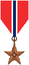 File:Norwegian barnstar of national merit.PNG