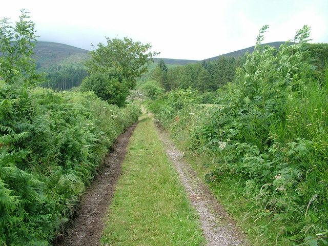 File:Track to Criffel - geograph.org.uk - 1418374.jpg