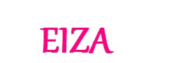 Logo ufficiale