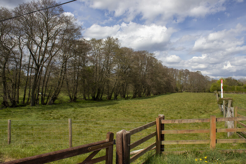 File:Battlefield Brook - geograph.org.uk - 6825389.jpg