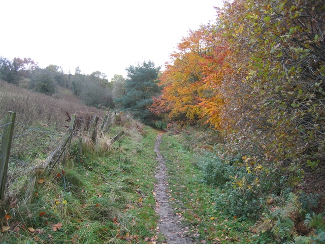 File:Footpath at Moss Valley Country Park - geograph.org.uk - 1038669.jpg