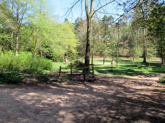 File:Fork in path, Lickey Warren Woods - geograph.org.uk - 6453552.jpg