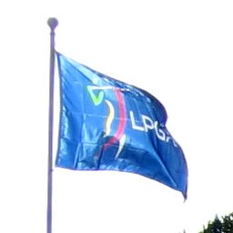 Vlag van de LPGA