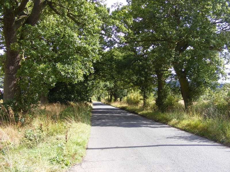 File:Pedmore Lane - geograph.org.uk - 2574323.jpg