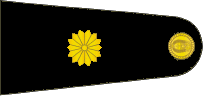 Insignia de mayor del Ejército Argentino.