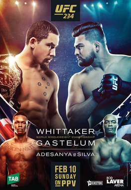 File:UFC234poster.png