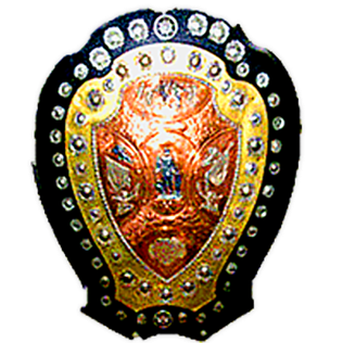 IFA Shield