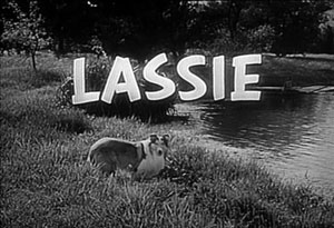 Lassie (1954 TV series)