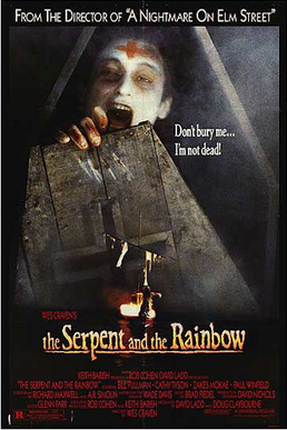 The Serpent and the Rainbow (film)