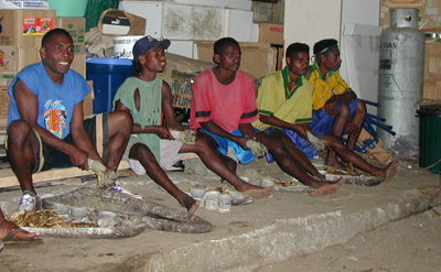 File:Kava vanuatu.jpg