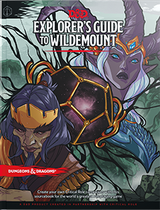 File:Explorer's Guide to Wildemount, role-playing supplement.png