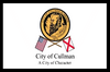 Flag of Cullman, Alabama