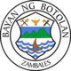 Official seal of Botolan