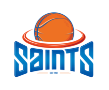 Wellington Saints logo